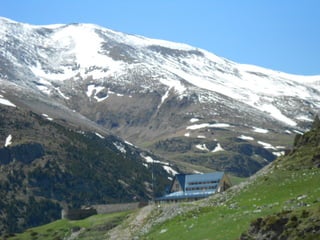 Cdsíntesi planoles2014