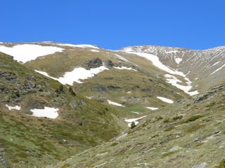 Cdsíntesi planoles2014