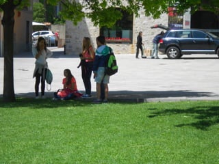 Cdsíntesi planoles2014