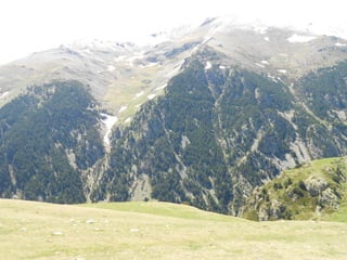 Cdsíntesi planoles2014