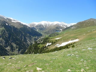 Cdsíntesi planoles2014