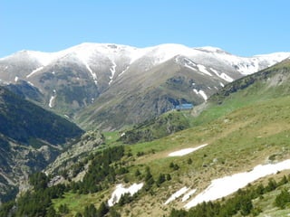 Cdsíntesi planoles2014