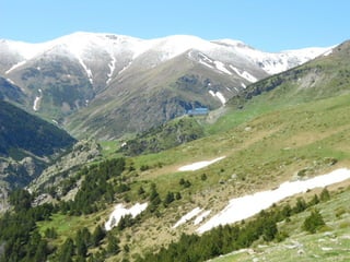 Cdsíntesi planoles2014