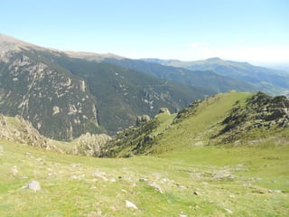 Cdsíntesi planoles2014