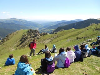 Cdsíntesi planoles2014