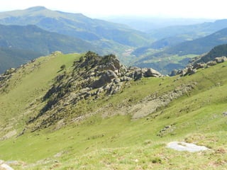 Cdsíntesi planoles2014