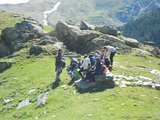 Cdsíntesi planoles2014