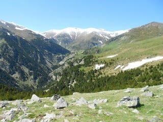 Cdsíntesi planoles2014