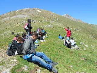 Cdsíntesi planoles2014