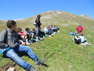 Cdsíntesi planoles2014