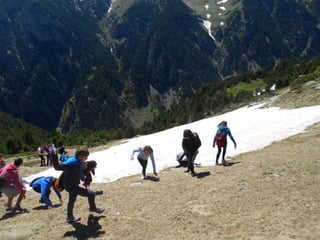 Cdsíntesi planoles2014