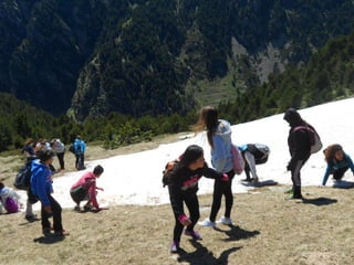 Cdsíntesi planoles2014