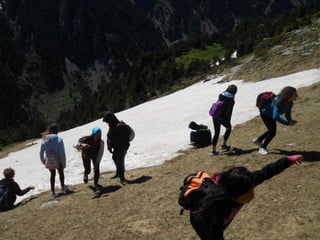 Cdsíntesi planoles2014