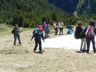 Cdsíntesi planoles2014