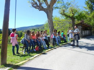 Cdsíntesi planoles2014