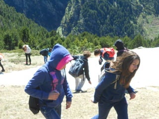 Cdsíntesi planoles2014