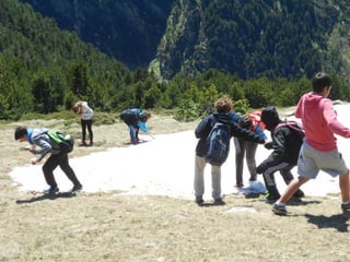 Cdsíntesi planoles2014