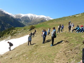 Cdsíntesi planoles2014