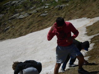 Cdsíntesi planoles2014