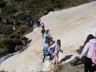 Cdsíntesi planoles2014