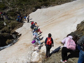 Cdsíntesi planoles2014