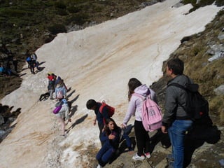 Cdsíntesi planoles2014