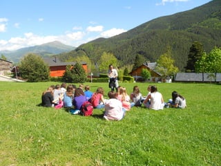 Cdsíntesi planoles2014