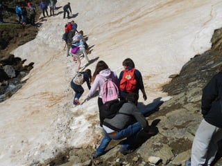 Cdsíntesi planoles2014