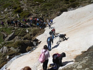 Cdsíntesi planoles2014