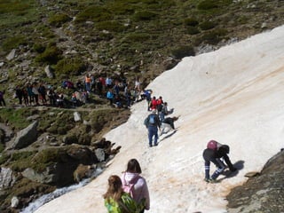 Cdsíntesi planoles2014