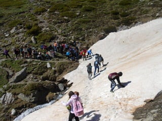 Cdsíntesi planoles2014