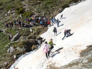 Cdsíntesi planoles2014