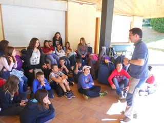 Cdsíntesi planoles2014