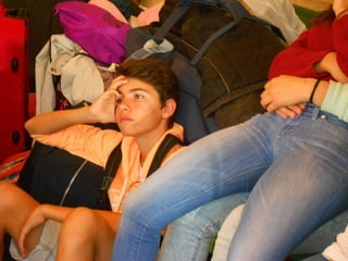 Cdsíntesi planoles2014