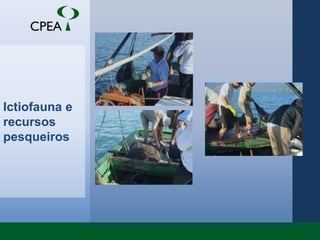 Ictiofauna e recursos pesqueiros