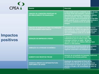 Projeto finalAvanço da frente do porto em águas mais profundas, dispensando a realização imediata de dragagens nos berços de atracação e acessos.