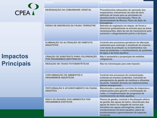 Conservação integral dos mangues do Araçá. 