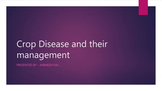 Crop Disease and their
management
PRESENTED BY – ANIMESH RAJ.
 