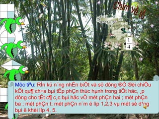 A 
B 
C 
Môc tiªu: RÌn kü n¨ng nhËn biÕt và sö dông ®Ó ®èi chiÕu 
kÕt qu¶ ch÷a bμi tËp phÇn thùc hμnh trong tiÕt häc, ¸p 
dông cho tÊt c¶ c¸c bμi häc vÒ mét phÇn hai ; mét phÇn 
ba ; mét phÇn t; mét phÇn n¨m ë líp 1,2,3 vμ mét sè d¹ng 
bμi ë khèi líp 4, 5. 
D 
 