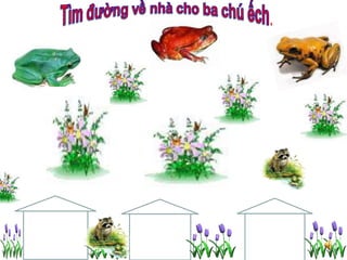 Cd tro choi toan