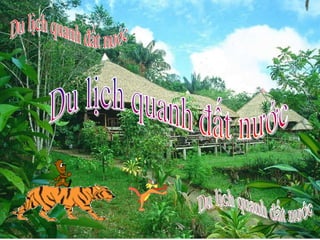 Cd tro choi toan