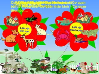 Cơ Rễ qĐuCaộCánnác cọc gh nCôvưh – ậhớtâấ Rễ uncp chùm 
ul mụ–ôcặiC- n–ơĐ-C ộqĐánuạ gnai nưDv ậớưttucơ hầ nnnogg ahọnotgà nd-ãCơ quan 
Làng quê – Đô thị 
bài tiết Thân nước gỗ tiểu- - Thân Cơ thảo. 
quan thần kinh – Cơ quan 
tiêu hóa…. 
 
