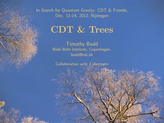 In Search for Quantum Gravity: CDT & Friends,
Dec. 11-14, 2012, Nijmegen
CDT & Trees
Timothy Budd
Niels Bohr Institute, Copenhagen.
budd@nbi.dk
Collaboration with J. Ambjørn
 