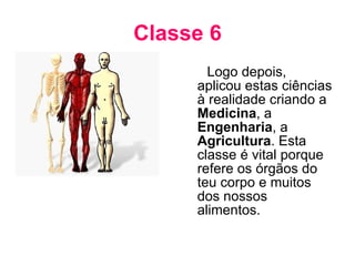 Classe 6 Logo depois, aplicou estas ciências à realidade criando a  Medicina , a  Engenharia , a  Agricultura . Esta classe é vital porque refere os órgãos do teu corpo e muitos dos nossos alimentos. 