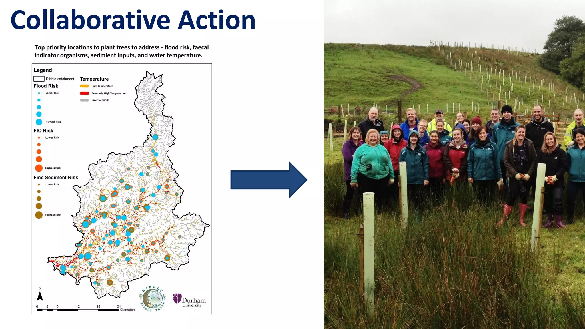 Collaborative Action
 