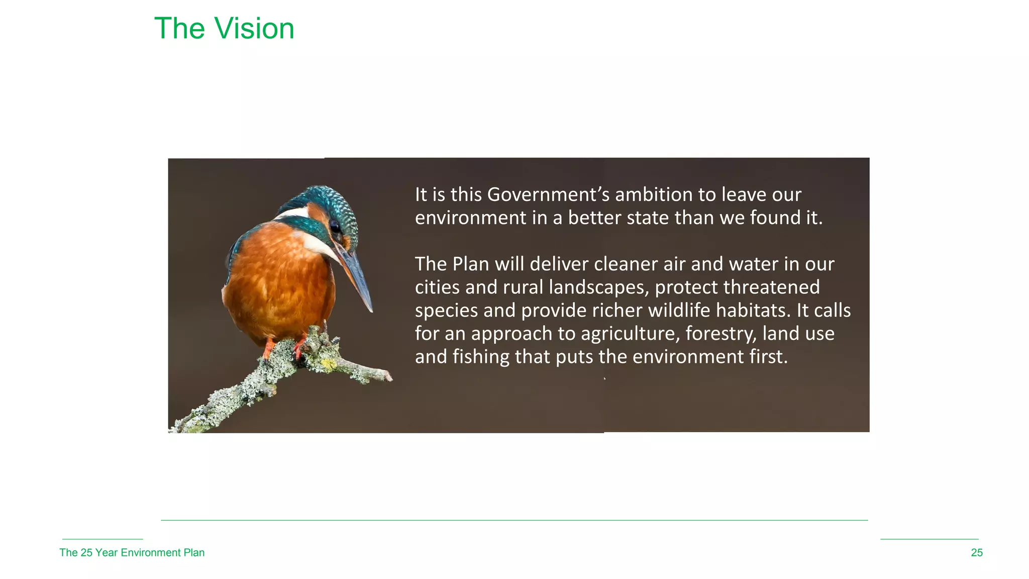 The Vision
The 25 Year Environment Plan 25
It is this Government’s ambition to leave our
environment in a better state than we found it.
The Plan will deliver cleaner air and water in our
cities and rural landscapes, protect threatened
species and provide richer wildlife habitats. It calls
for an approach to agriculture, forestry, land use
and fishing that puts the environment first.
 