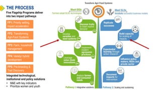 Gender dynamics in non-hybrid cererals and legumes in Ethiopia and Uganda