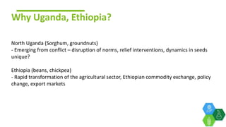 Gender dynamics in non-hybrid cererals and legumes in Ethiopia and Uganda