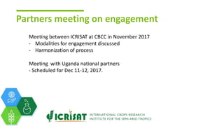 Gender dynamics in non-hybrid cererals and legumes in Ethiopia and Uganda