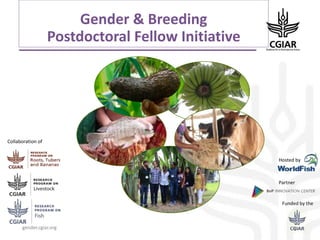 gender.cgiar.org
Gender & Breeding
Postdoctoral Fellow Initiative
0
Funded by the
Hosted by
Partner
Collaboration of
 